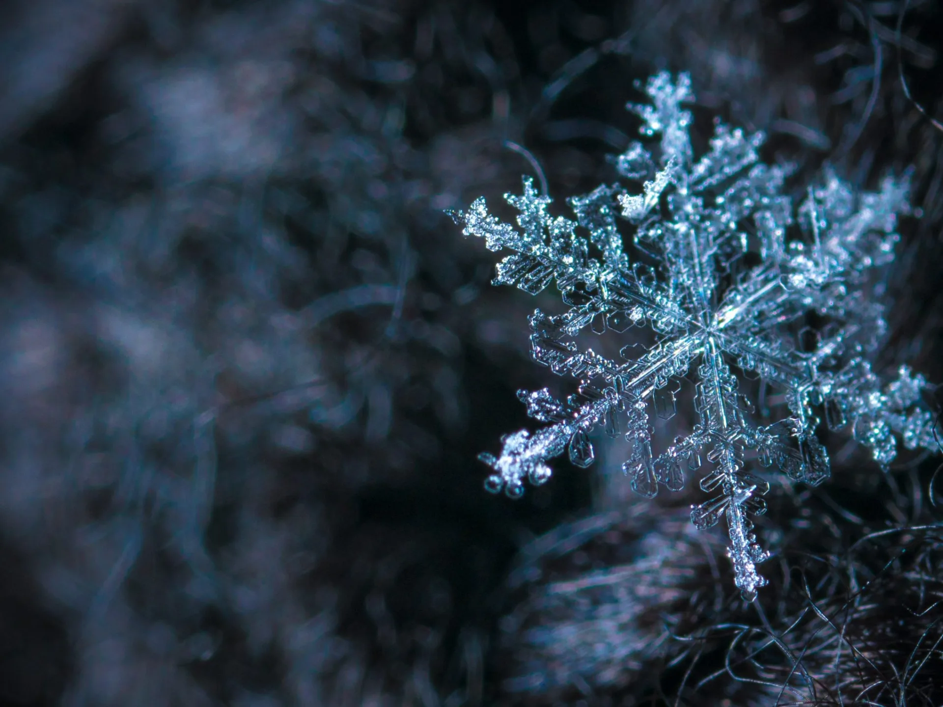 Get your home ready for winter