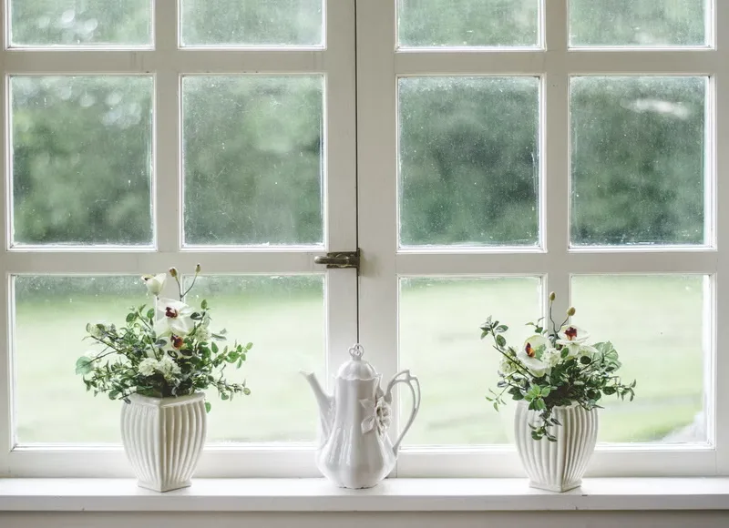 How to Choose the Best Eco Friendly Windows