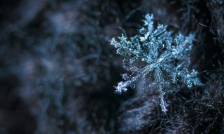 Frozen snowflake